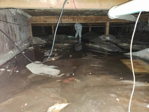 Trusted Water Damage Restoration in Solomons, MD | Fast, Reliable, and Ready to Assist You